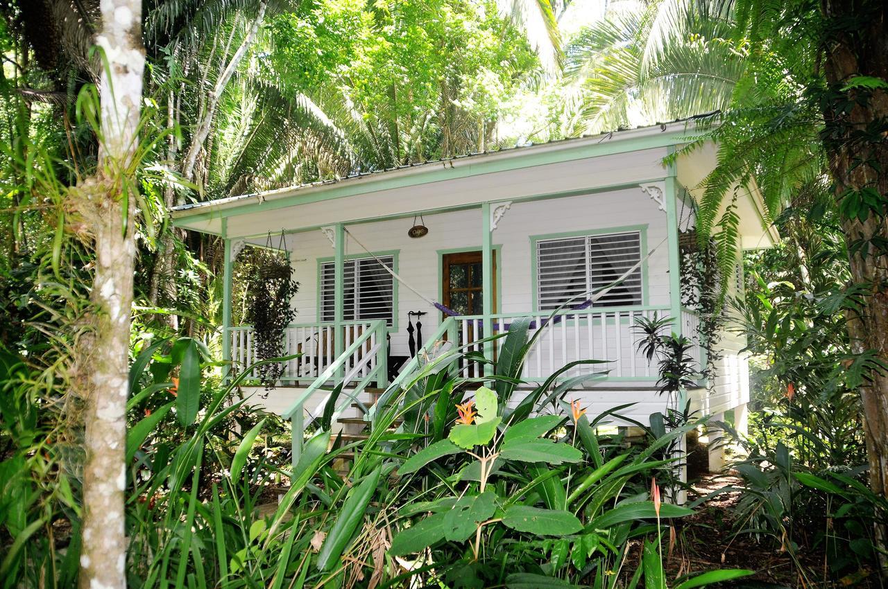 Hickatee Cottages, Belize, Central America Punta Gorda Bagian luar foto